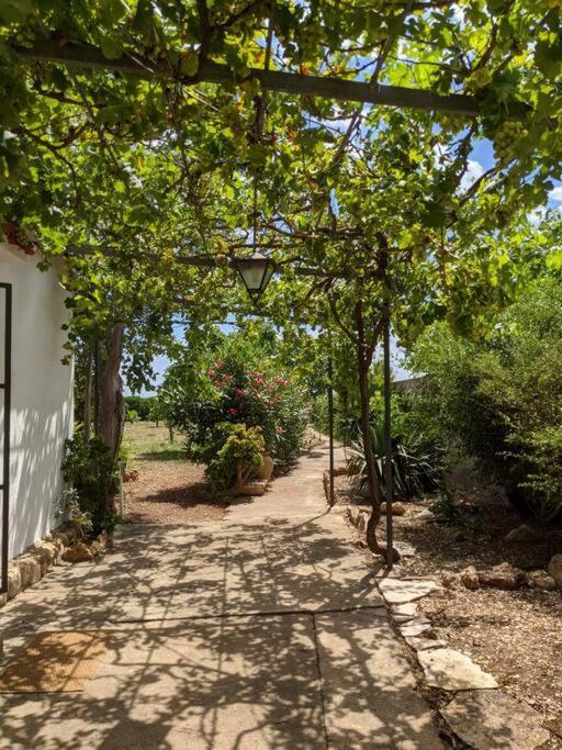 Casa Rural Frente Al Mar La Toscana Les Cases d'Alcanar Zewnętrze zdjęcie