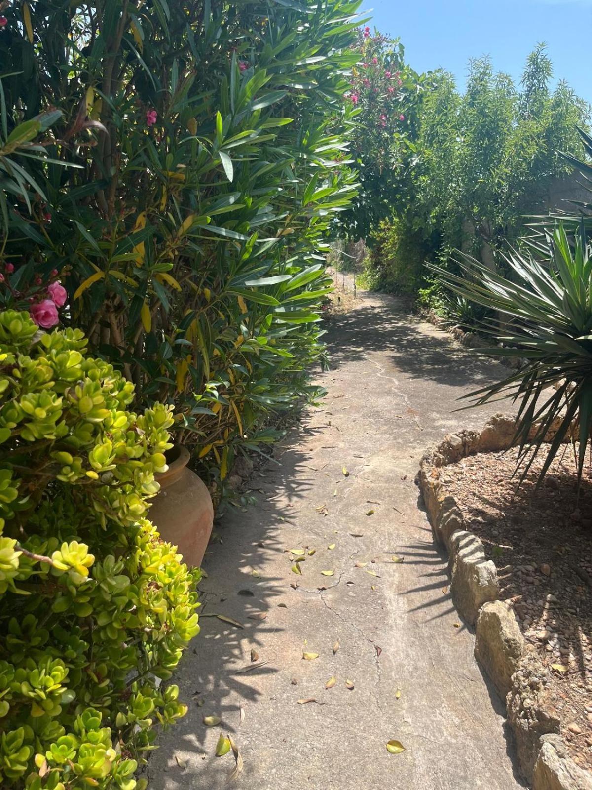 Casa Rural Frente Al Mar La Toscana Les Cases d'Alcanar Zewnętrze zdjęcie